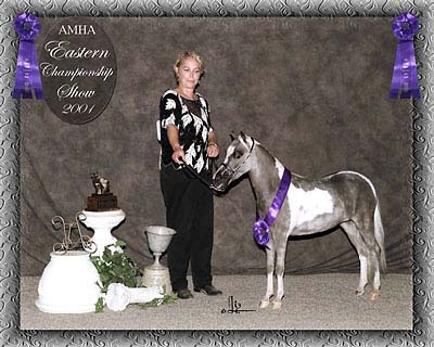 Eastern champ show photo