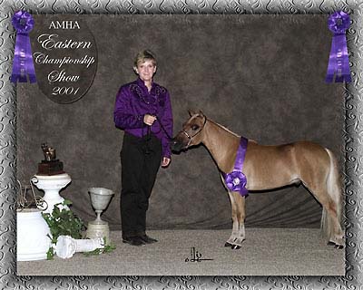 Eastern champ show photo