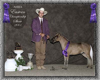 Eastern champ show photo