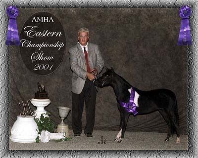 Eastern champ show photo