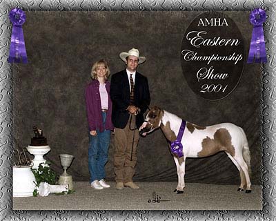 Eastern champ show photo COMING SOON