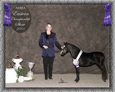 Eastern champ show photo