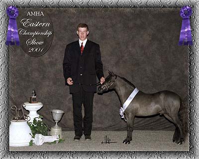 Eastern champ show photo