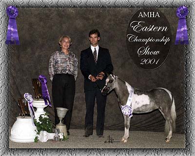 Eastern champ show photo