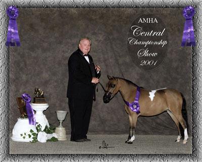 Central champ show photo