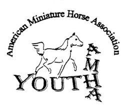 AMHA Youth Logo