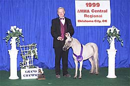 AMHA Regional 99 Jr Grand Mare