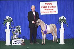 AMHA Regional 99 Sr Grand Mare