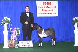 AMHA Regional 99 Jr Res Grand Mare