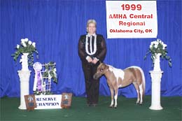 AMHA Regional 99 Sr Res Grand Mare