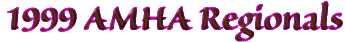 AMHA Regional 99 header text