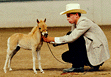 Youth Showing Five Month Old Filly