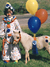 Child and horse in costume class