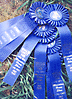 Virtual Blue Ribbons