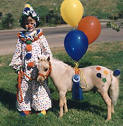 Send A Gift Horse! Photo of Child and Miniature Horse Ready to Win The Costume Class
